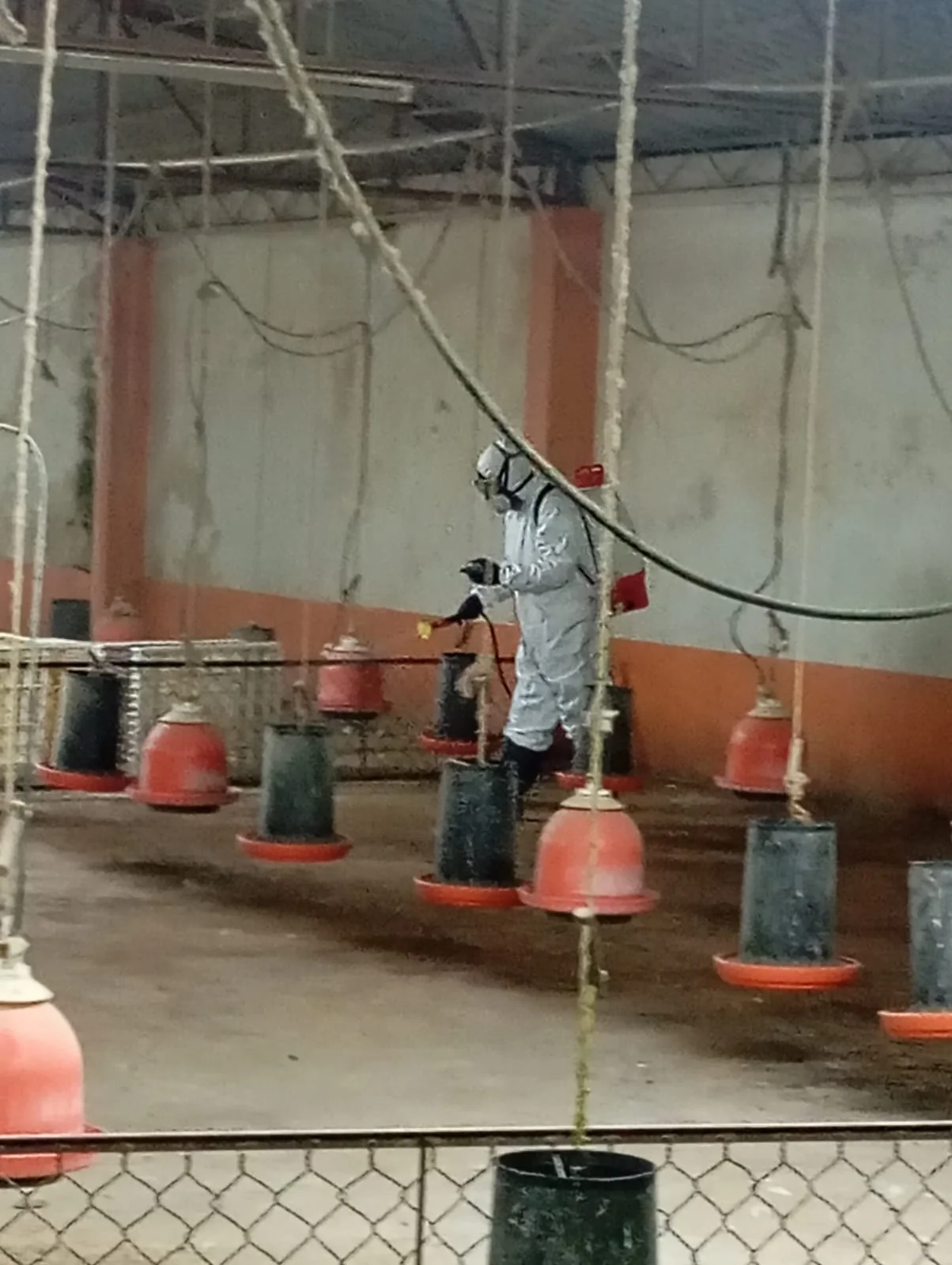 Trabajo de fumigación en sitio 5