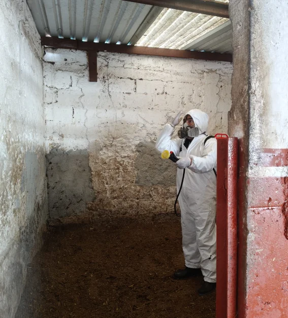 Trabajo de fumigación en sitio 7