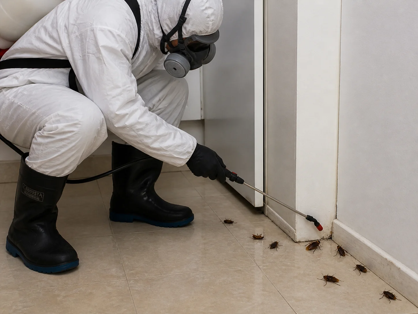 Control de insectos